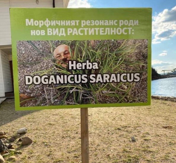 „Сарайграс“ поникна на плажа на „Росенец“