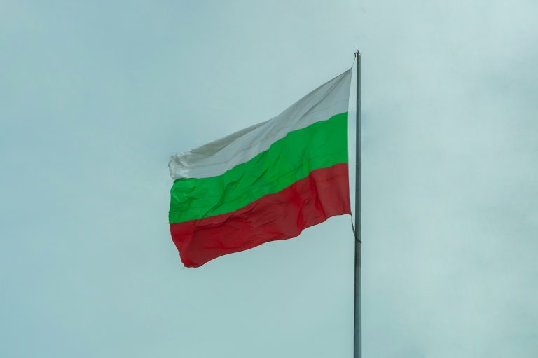 Българите зад граница също имат право на България!